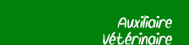 auxiliaire vétérinaire